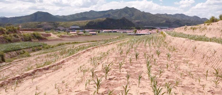 气候大局定了：如果不出意外的话，2026年中国极端天气迎3大变化