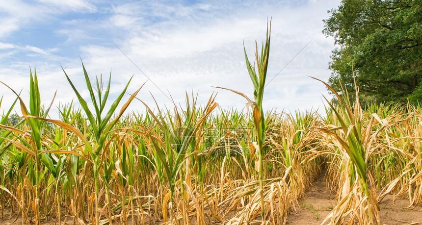 气候大局定了：如果不出意外的话，2026年中国极端天气迎3大变化