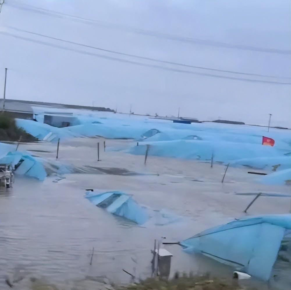 气候大局定了：如果不出意外的话，2026年中国极端天气迎3大变化