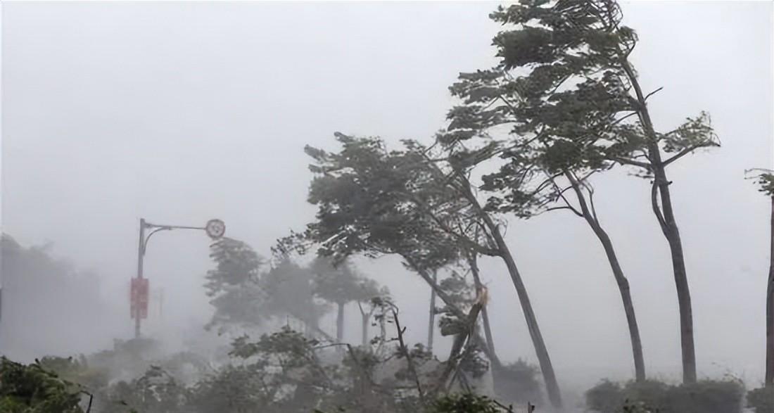 气候大局定了：如果不出意外的话，2026年中国极端天气迎3大变化