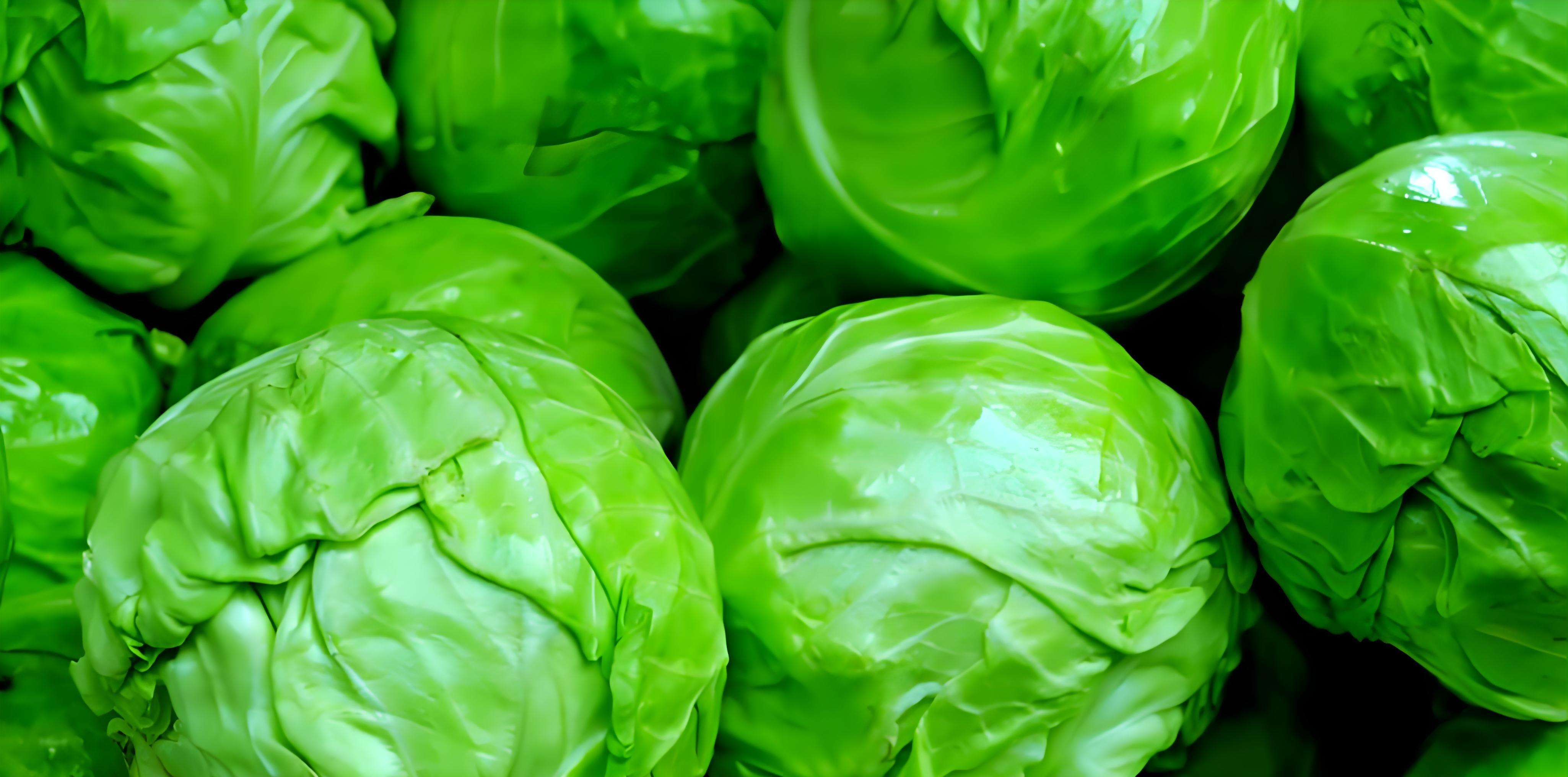 清明刮大风，菜园变“战场”？老农3招救急，第2点最易忽略