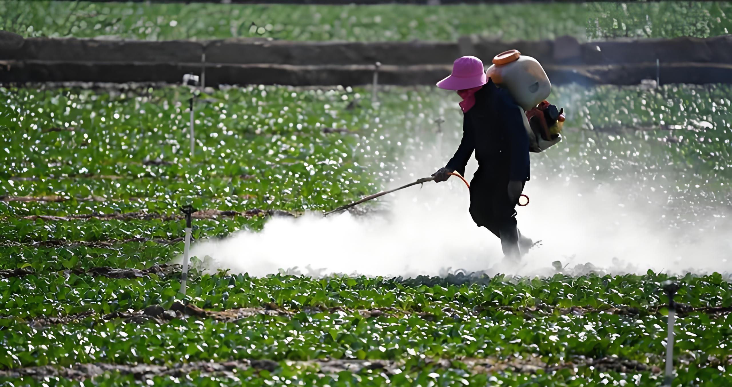 清明刮大风，菜园变“战场”？老农3招救急，第2点最易忽略