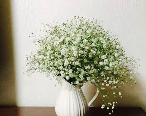 满天星花的寓意与象征意义(探索满天星花的花语与文化内涵)
