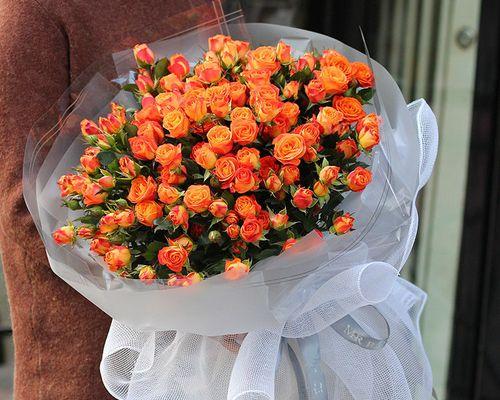 以代表友谊的花——友情花朵的象征（友情花朵的意义与表达方式）