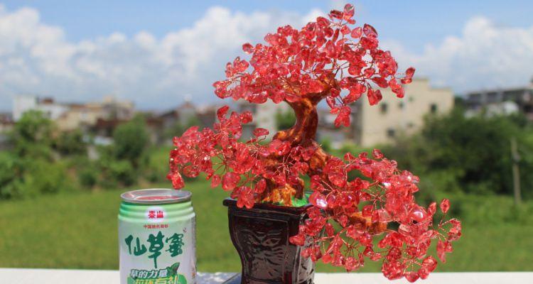摇钱树开花的寓意及启示（财富与希望源源不断的象征——摇钱树）