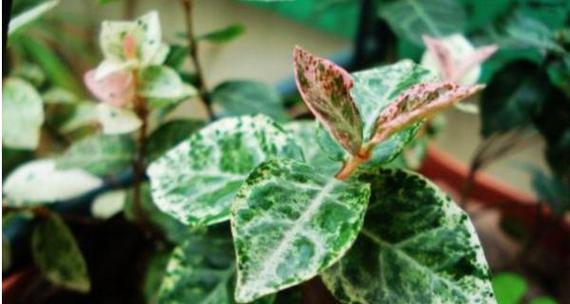冬季保养（注意这些细节）