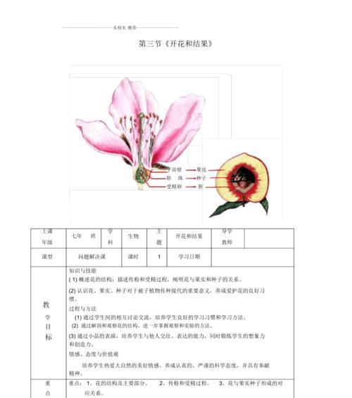 黑枸杞的生长周期（探究黑枸杞的生长周期及其关键因素）