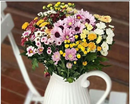 如何让小雏菊更旺盛生长（小雏菊养殖技巧大揭秘）