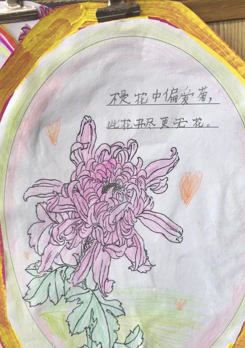 菊花浇水注意事项（如何科学合理浇水）