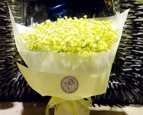 满天星花的传说与花语（满天星花的美丽与神秘）