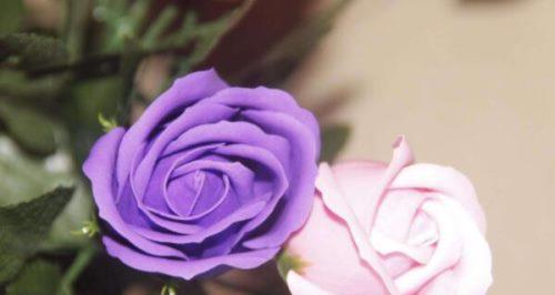 紫玫瑰花语和寓意(探索紫玫瑰的神秘和浪漫) 紫玫瑰花语和寓意(探索紫玫瑰的神秘和浪漫)
