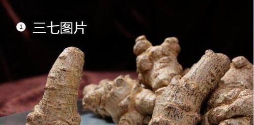 生吃三七的好处（探究生吃三七的健康功效与饮食建议）