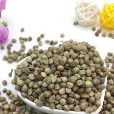 探秘神奇麻籽——一种瑰丽的植物种子（了解麻籽的好处和应用领域）