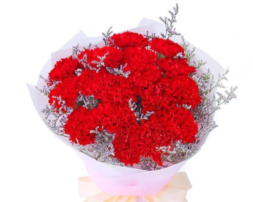 红色康乃馨的花语（红色康乃馨传达的情感与意义）