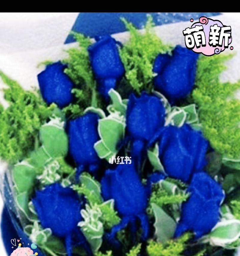 玫瑰花语的意义及象征（探寻玫瑰花在不同领域中的隐喻和象征）