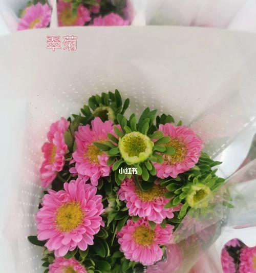 翠菊花语(传递爱与希望的翠菊) 翠菊花语(传递爱与希望的翠菊)