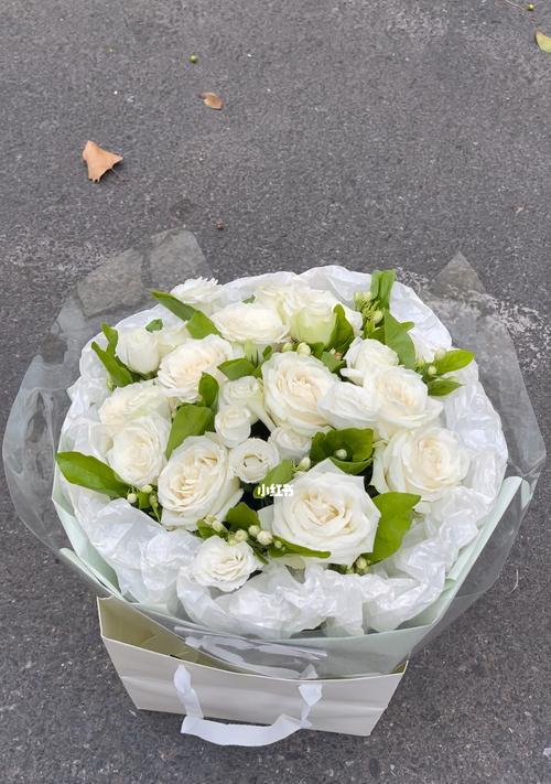 白色玫瑰花的象征意义(探索美丽的白色玫瑰花) 白色玫瑰花的象征意义(探索美丽的白色玫瑰花)