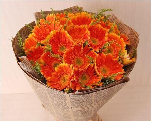 非洲菊花语（以花言巧语传递心意的艺术）