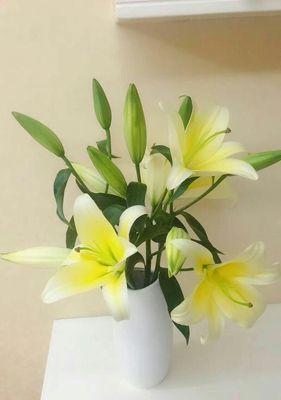 百合花的寓意与象征(揭秘百合花的美丽与内涵)