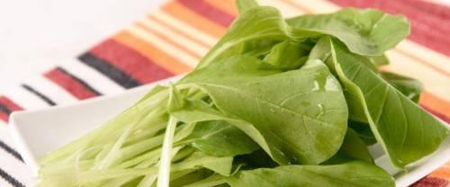 如何洗青菜才能保证干净卫生（掌握清洗青菜的正确方法）