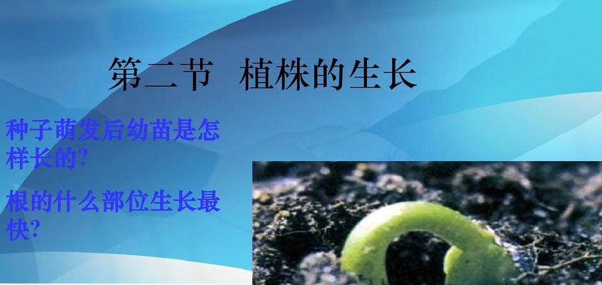 了解滑子菇的生长周期(从种植到收获) 了解滑子菇的生长周期(从种植到收获)