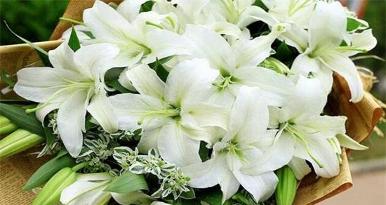 百合花的纯洁之魅——与世无争（一朵花中的道德净化）