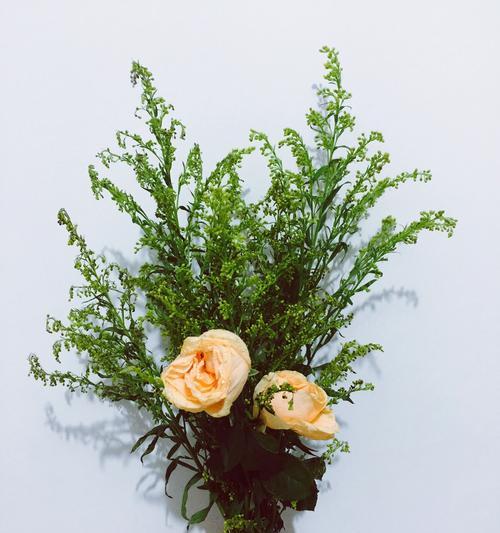 永生花的花语及寓意（揭开永生花背后的意义与象征）