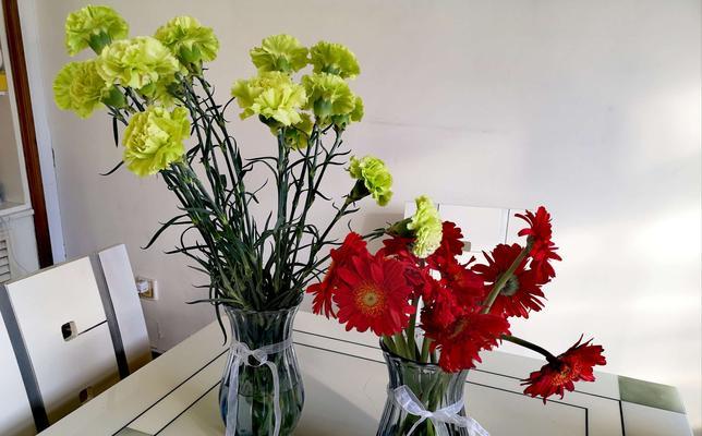 扶郎花的花语及寓意（探秘扶郎花的象征意义及传说）