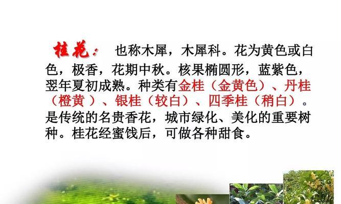 怎样浇水才能让桂花茂盛生长（桂花的浇水原则和频率详解）