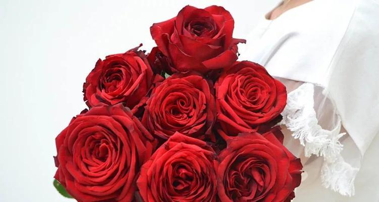 九朵玫瑰的花语与意义（揭示九朵玫瑰所代表的不同情感和寓意）