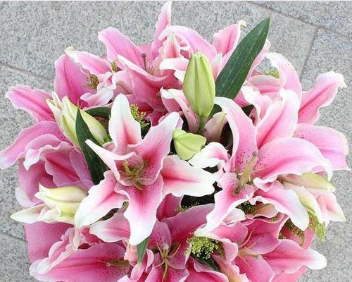百合花语（探索百合花语的深意与传承）