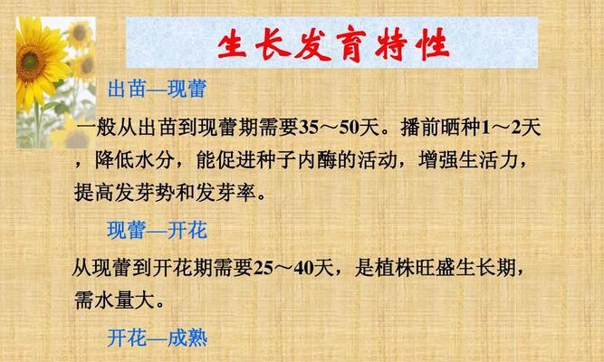 向日葵的浇水频率（向日葵的生长繁茂与恰当浇水有关）