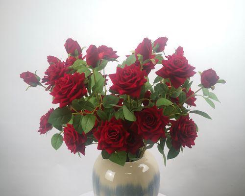 玫瑰花的寓意与象征（探索玫瑰花的含义）